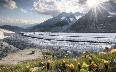 Aletsch Arena – Riederalp/​Bettmeralp/​Fiesch Eggishorn