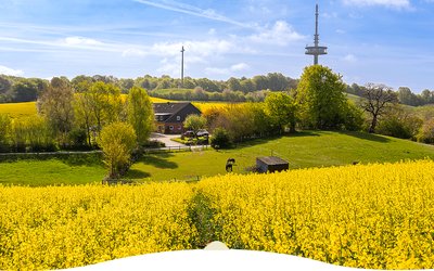 Bungsberg