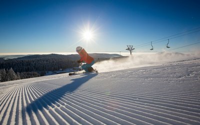 Feldberg – Seebuck/​Grafenmatt/​Fahl