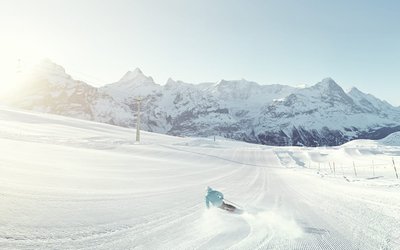 First – Grindelwald