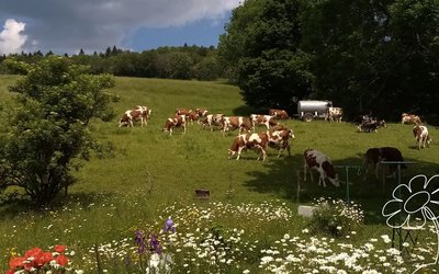 Foncine le Haut