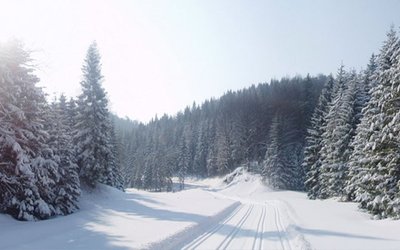 Furtnerlifts – Rohr im Gebirge