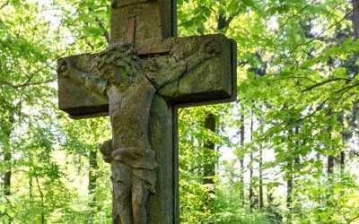 Hohe Acht – Jammelshofen (Kaltenborn)