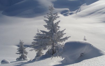 Kötschach-Mauthen – Vorhegg
