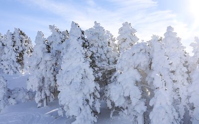 Lans en Vercors