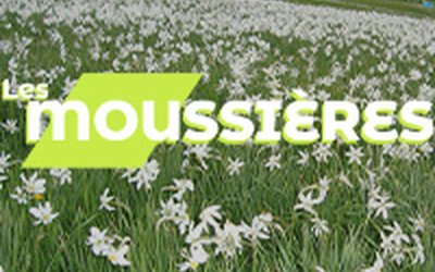 Les Moussières