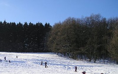 Marmecke