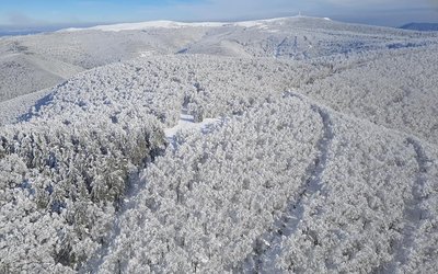 Prat Peyrot – Mont Aigoual