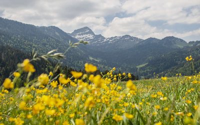 Wolzenalp – Krummenau